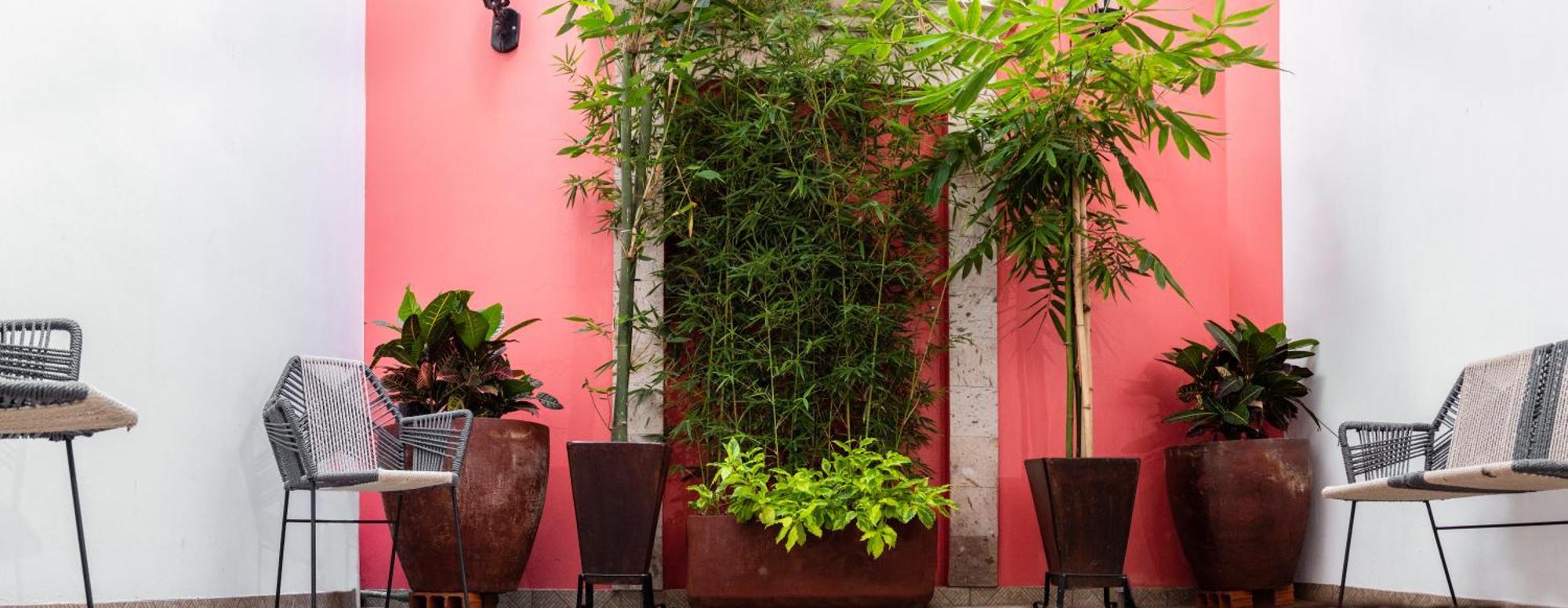 Nueve Agaves Hotel Tequila Εξωτερικό φωτογραφία